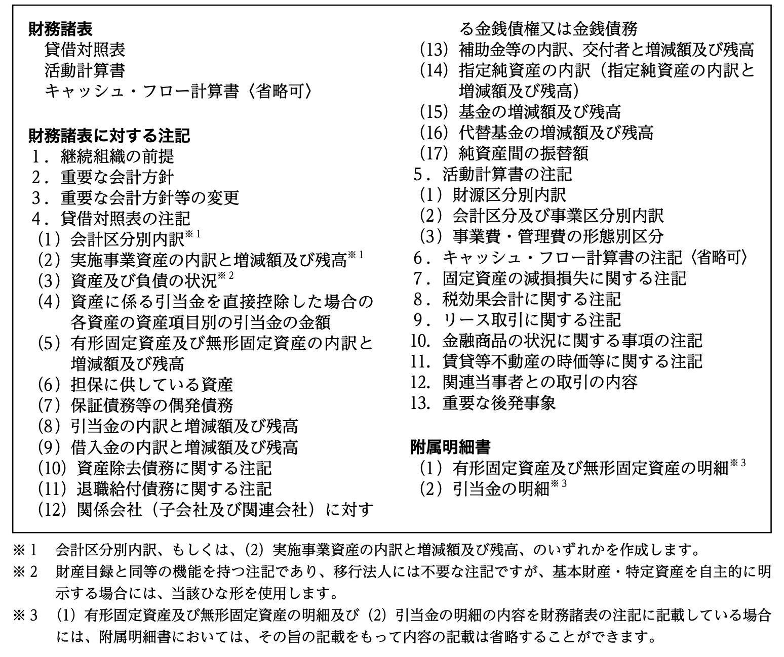 財務諸表（会計監査人設置法人）